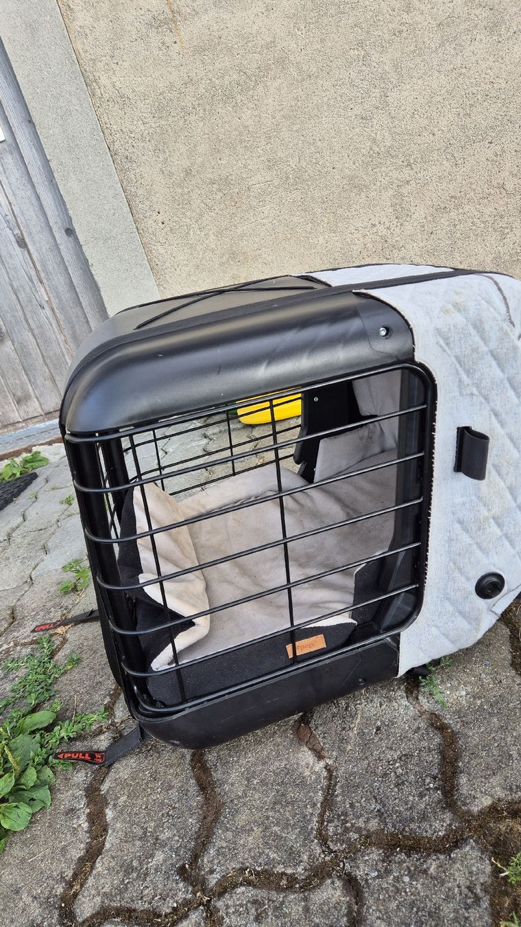 4pets Cages, transport & sécurité: 4pets Transportbox Caree anthrazit/grau gebraucht – D'occasion à Horgenberg par callmeloco 3