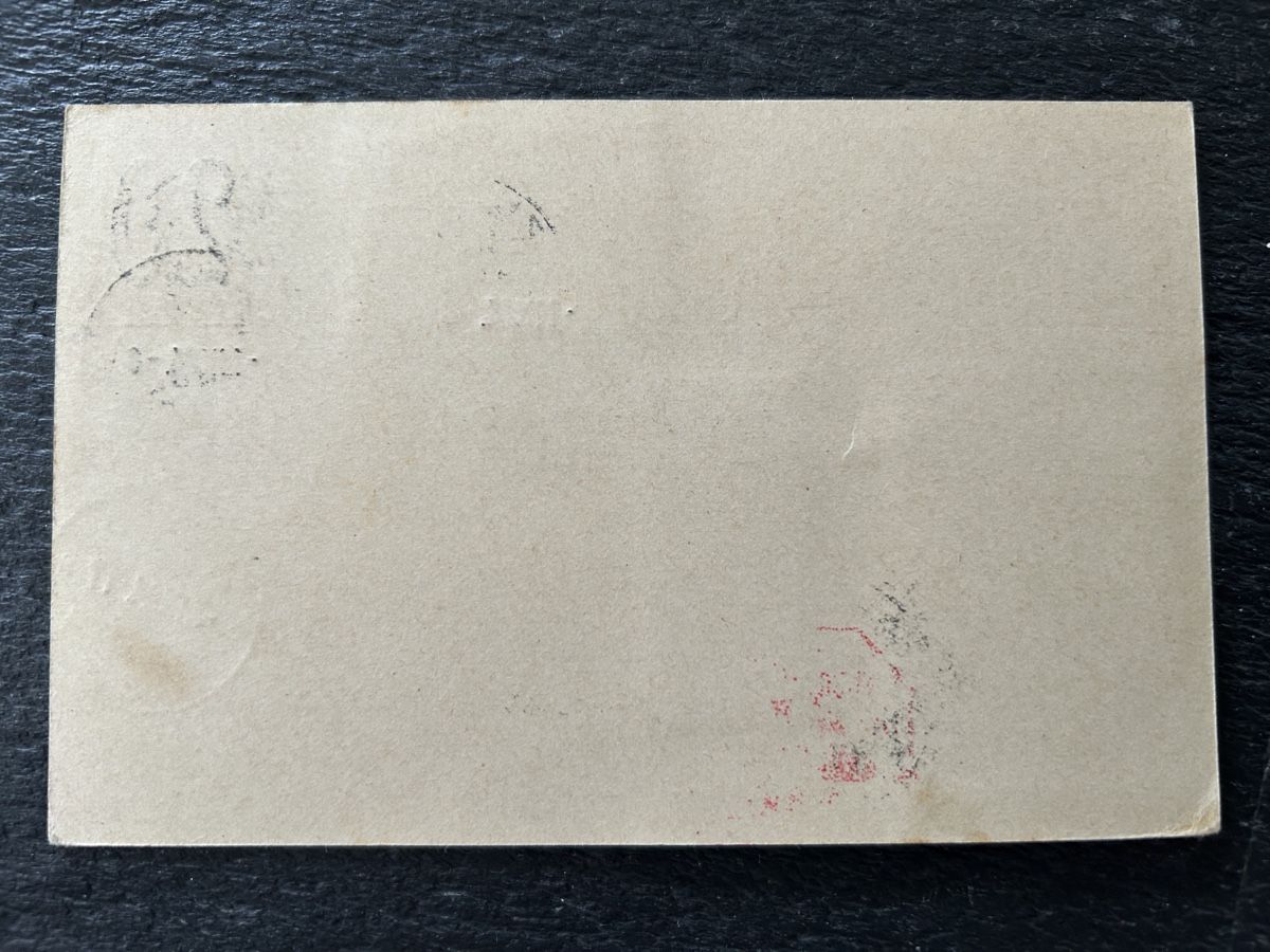 Tutti i francobolli: 1924 Carte Postale Flugtag Solothurn-Grenchen – Usato da Vétroz venduto da Laly63 1