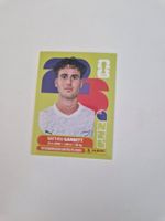 Panini Sticker NZL14