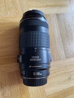 Canon EF 70-300mm 1:4-5.6 IS USM