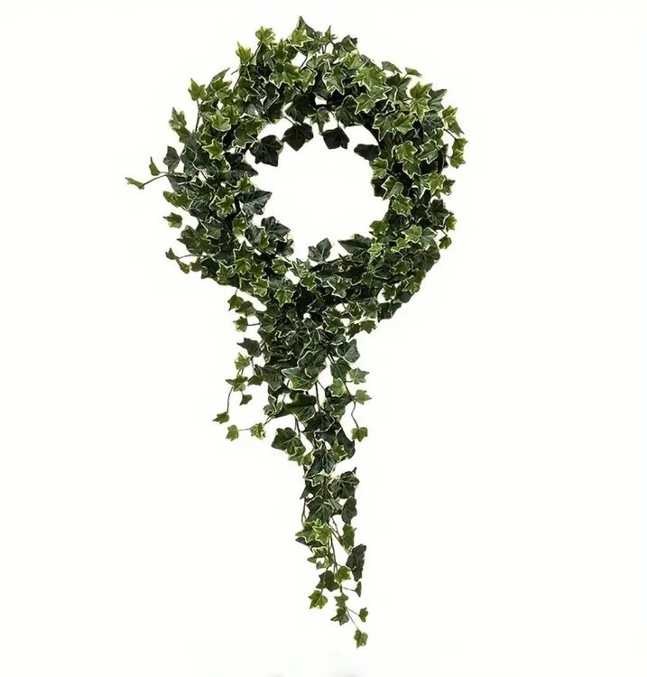 Kletter-Spielzeug Für Einsiedlerkrebse - Ausziehbarer Efeu-Rankzaun Mit 2 Saugnäpfen