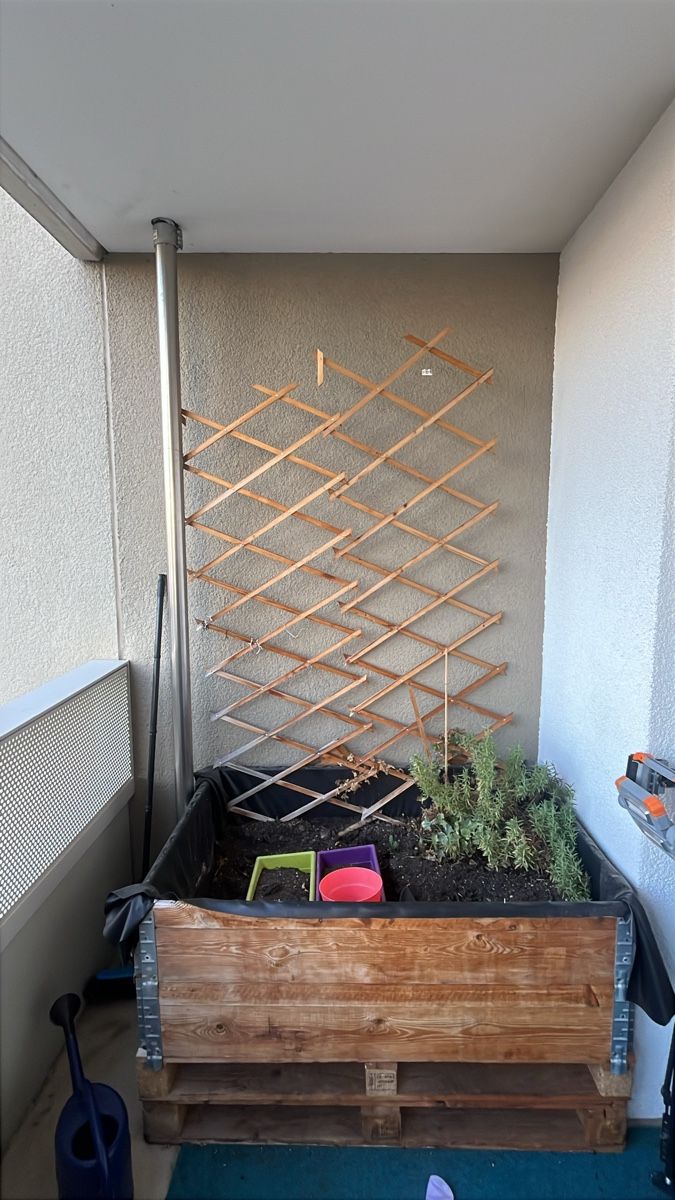 Auflagenboxen: Gemüsegarten für Balkon – Gebraucht aus Nussbaumen AG von fri_8yxs