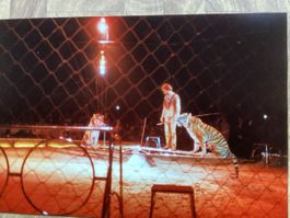 Circus Knie Foto 1982