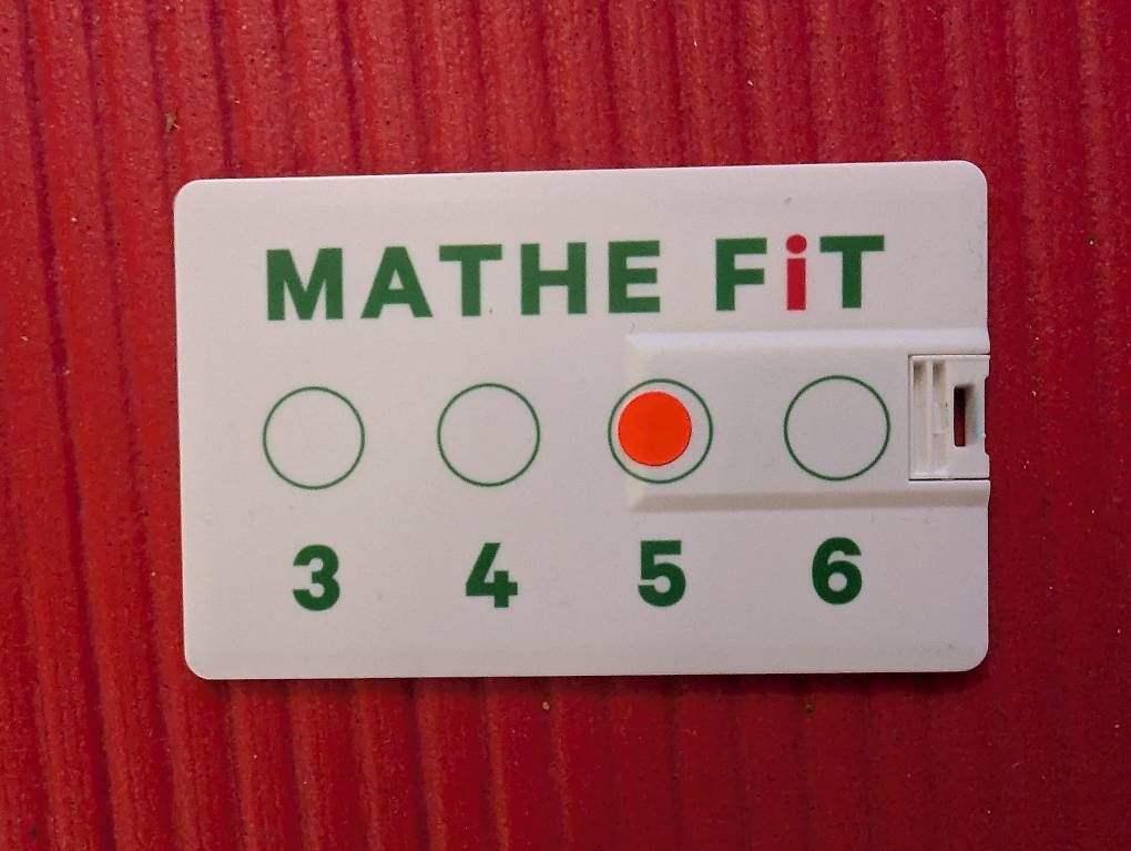 Chiavette USB: Mathe FiT 5 (USB-Stick) – Usato da Tägerwilen venduto da MB808 1