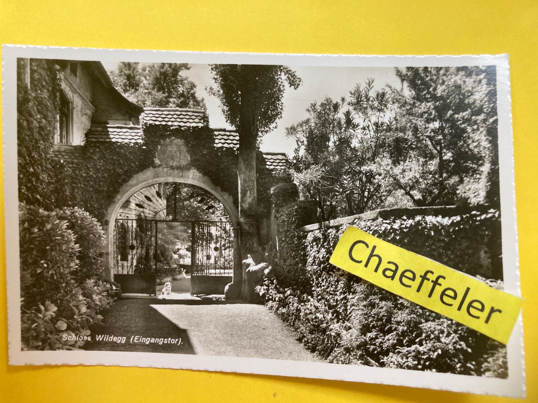 Cartoline postali: Schloss Wildegg (Eingangstor) – Usato da Zürich venduto da Chaeffeler