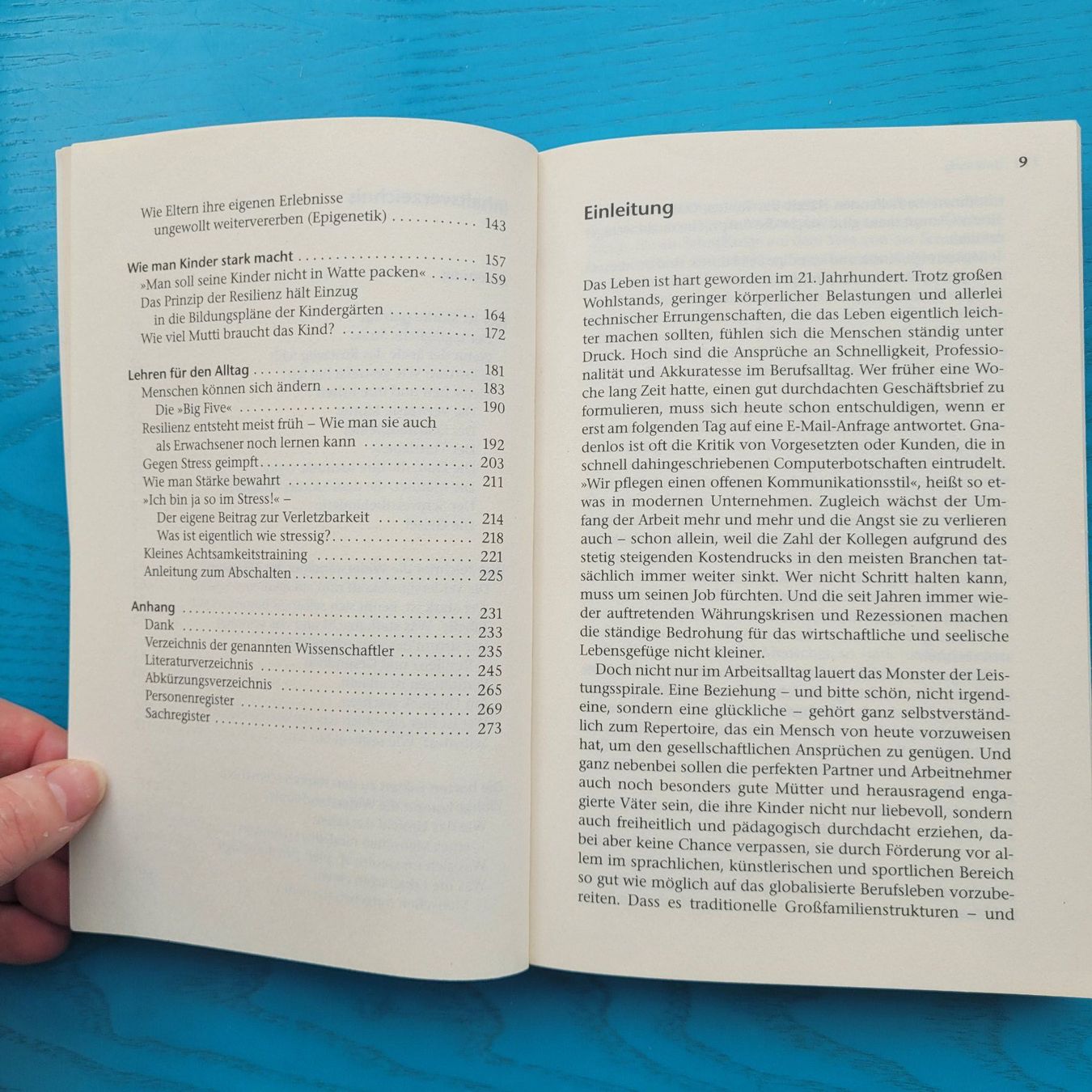 Bücher: Christina Berndt- Resilienz – Gebraucht aus SCHÜBELBACH von CoKaHa 3