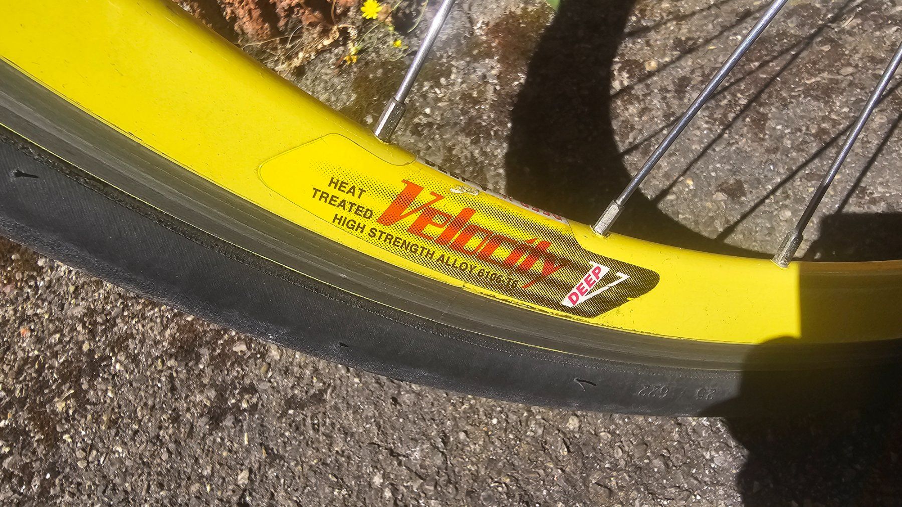 Biciclette: Viner Comp Line – Usato da Etoy venduto da angi020 6