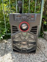 Portable Speaker 30W Akku & Karaoke