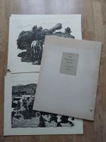Willi Wenk. vollständig Mappe.Bilder 44x57cm.