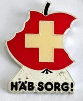1 Pin  von der EWR Abstimmung