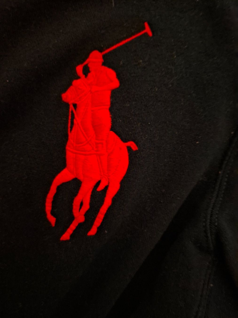 Ralph Lauren Giacche: POLO RALPH LAUREN Sweatjacke – Usato da Zürich venduto da zhch15 2