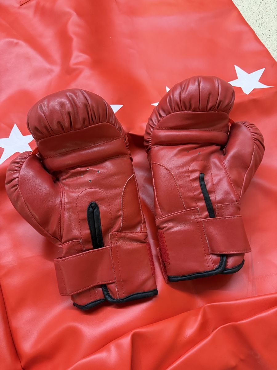 Sacchi da boxe: Neuer Boxsack und Boxhandschuhe – Nuovo (secondo la descrizione) da Basel venduto da Bahador 1