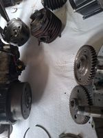 Pony cilo beta 3 motor 521