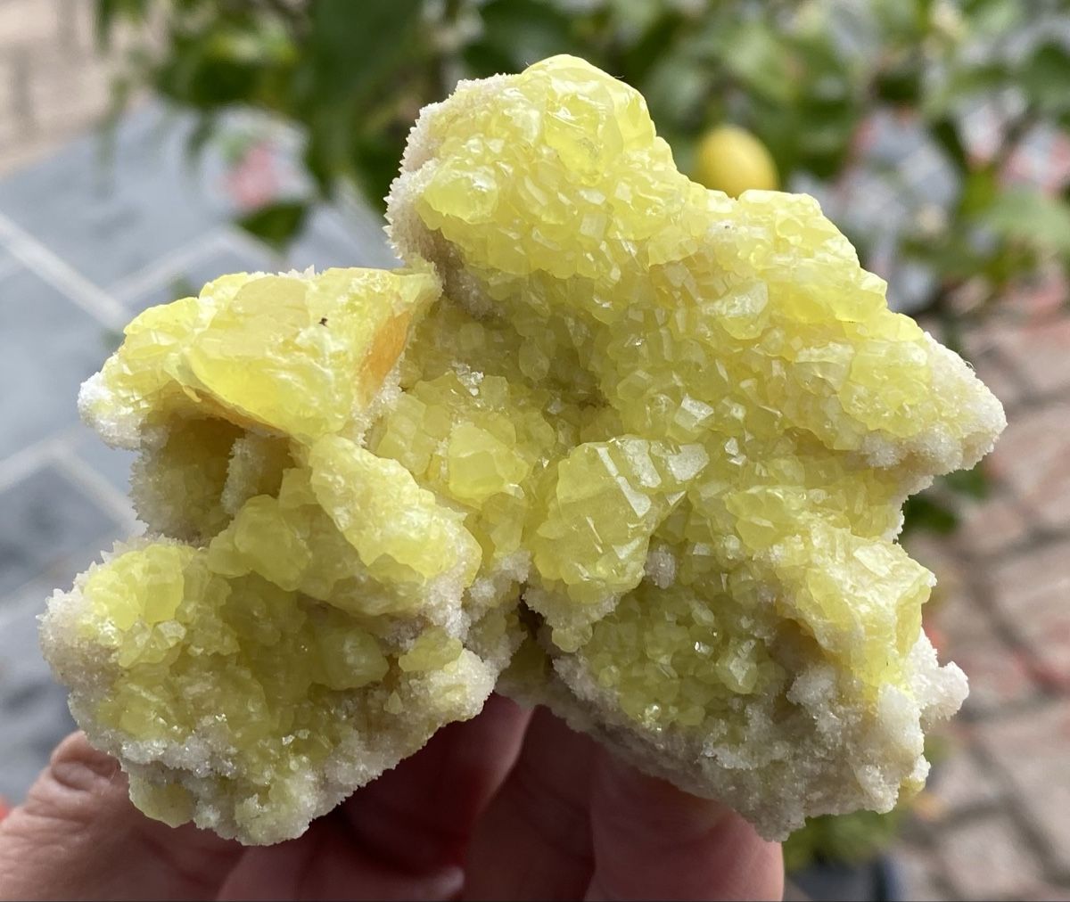 Minerali & Pietre curative: Schönes Stück Schwefel  – Usato da Selzach venduto da 321compac 1
