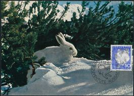1965 - Pro Juventute - Maximumkarte MK - Ersttag Stempel ET