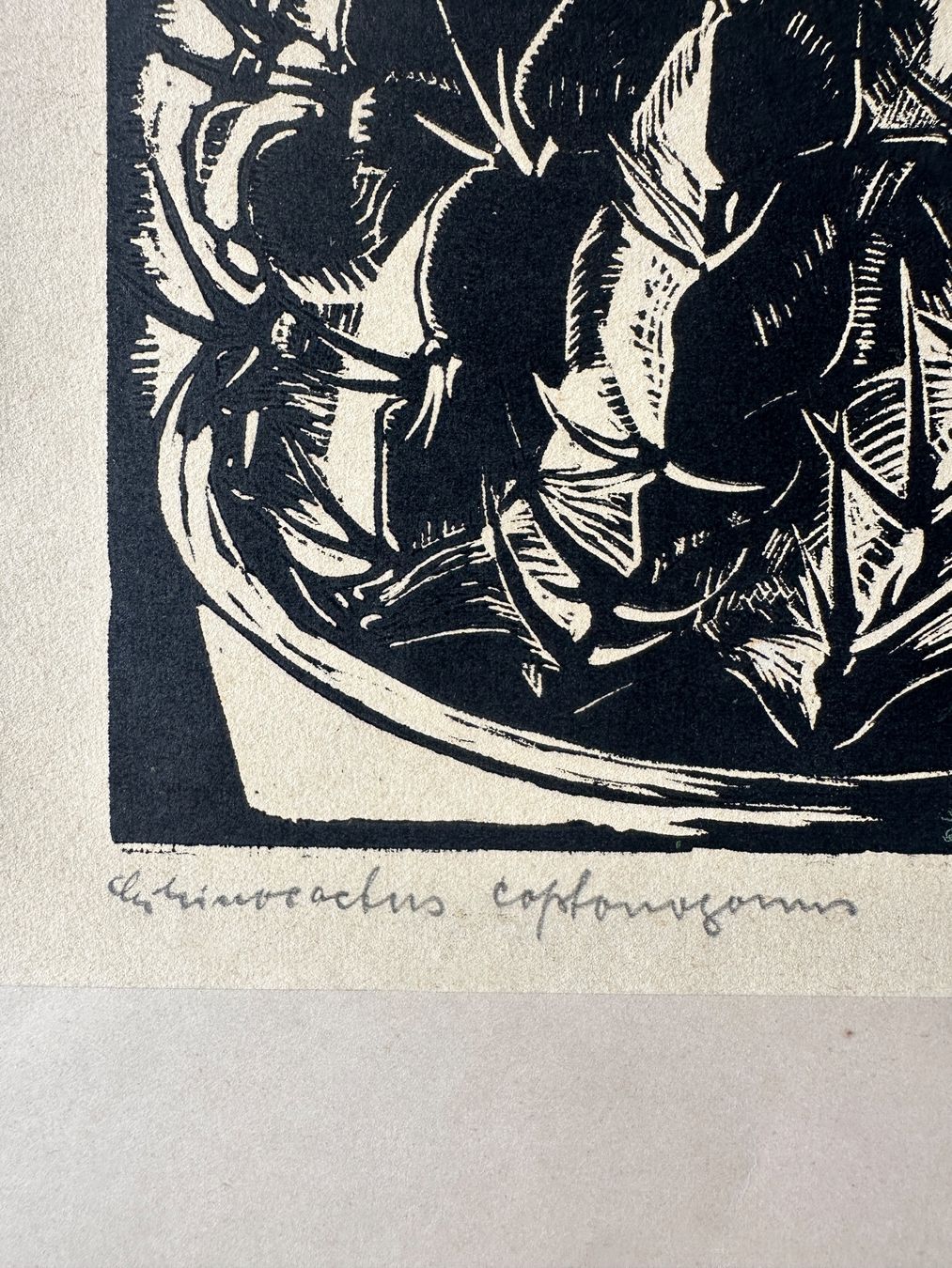 Xilografie: signierter Holzschnitt von 1929 – Usato da Zürich venduto da frauflufelberg 2