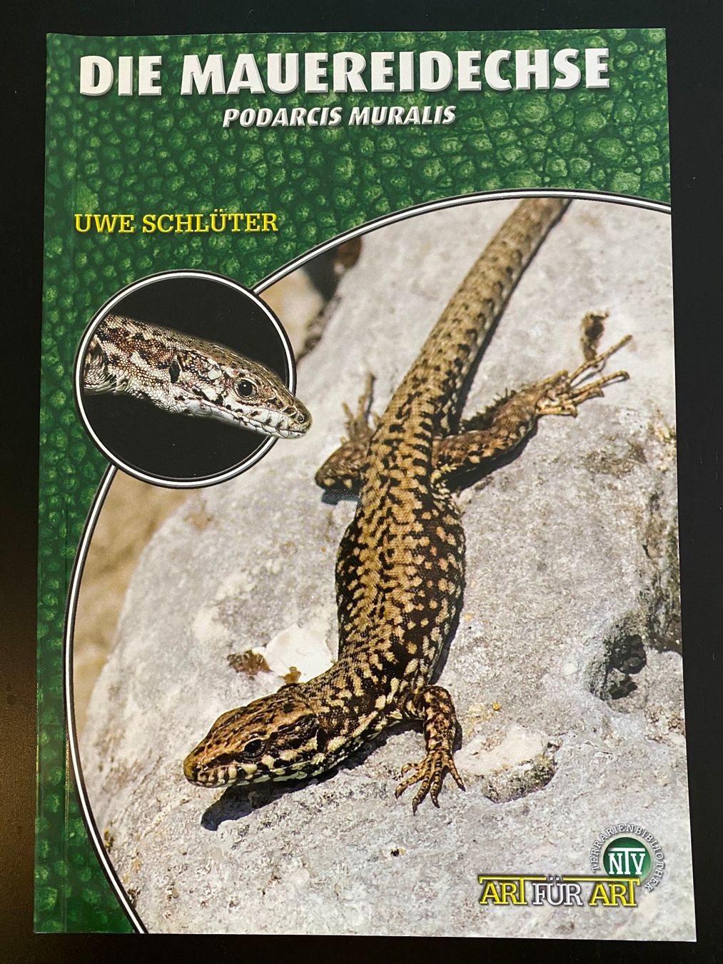 Bücher: 6 Echsen-Bücher (Halsbandleguan, Bartagame, Eidechse etc.) – Gebraucht aus Hölstein von Chabischrut 4