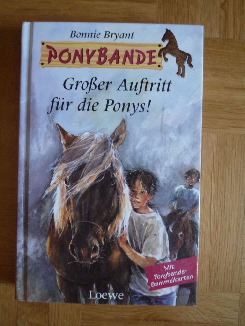 Livres: Ponybande – D'occasion à Rafz par Sonnenblume305
