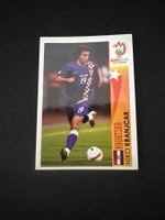 Panini UEFA EM 2008 Sticker - Nr. 482