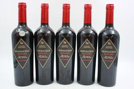5x Casato Mastino Ripasso della Valpolicella (26091962Z)