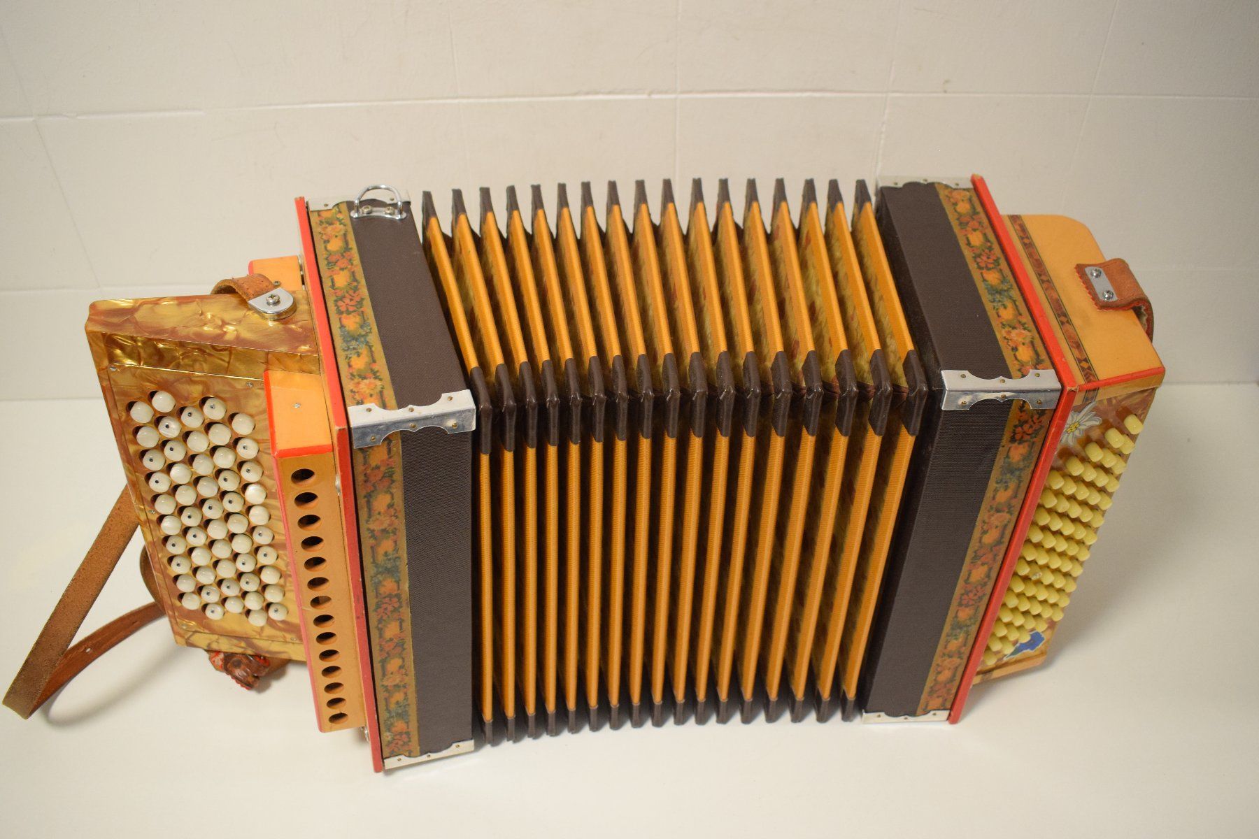 Strumenti musicali: Chromatisch Schwyzerörgeli – Usato da Zürich venduto da Brockito 8