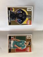Extra Sticker panini 