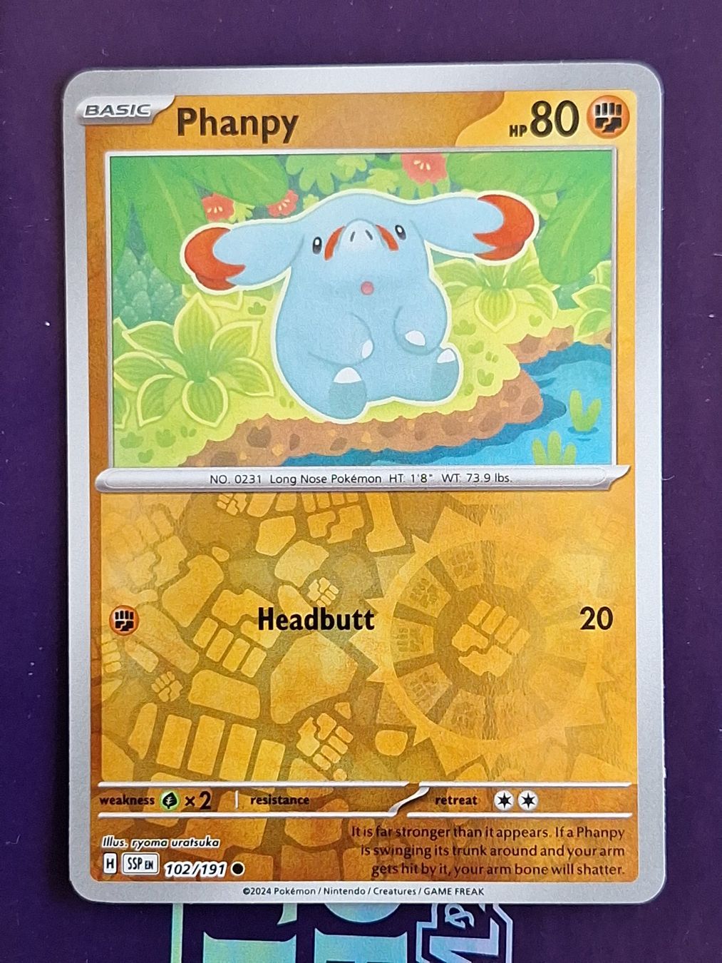 Pokémon Carte collezionabili: Phanpy - Reverse Holo - Pokemon Surging Sparks – Usato da Altstätten SG venduto da GGsGameshop