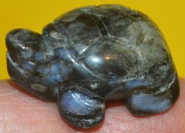Deko – Heilsteine F-474 – Schildkröte – Rhyolith – 3x2cm