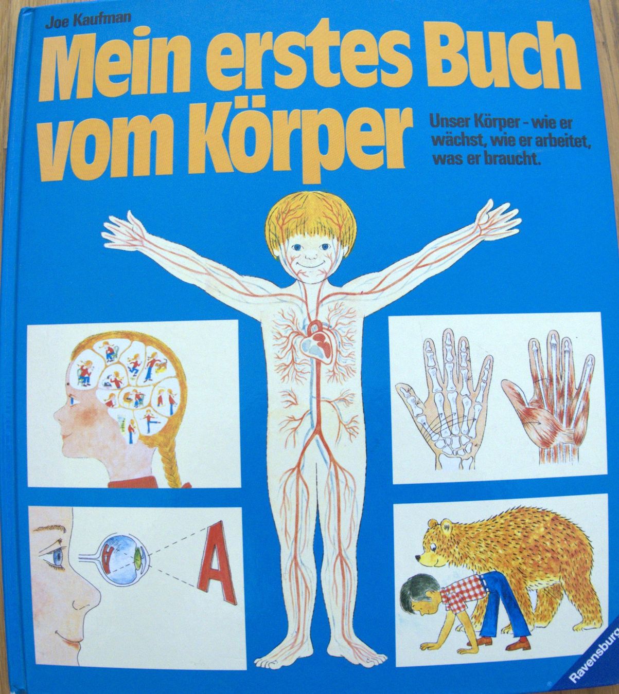 Libri: Mein erstes Buch vom Körper – Usato da Rheinfelden venduto da bigi0956