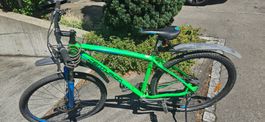Centurion Mountainbike grün Rahmengrösse 48 cm