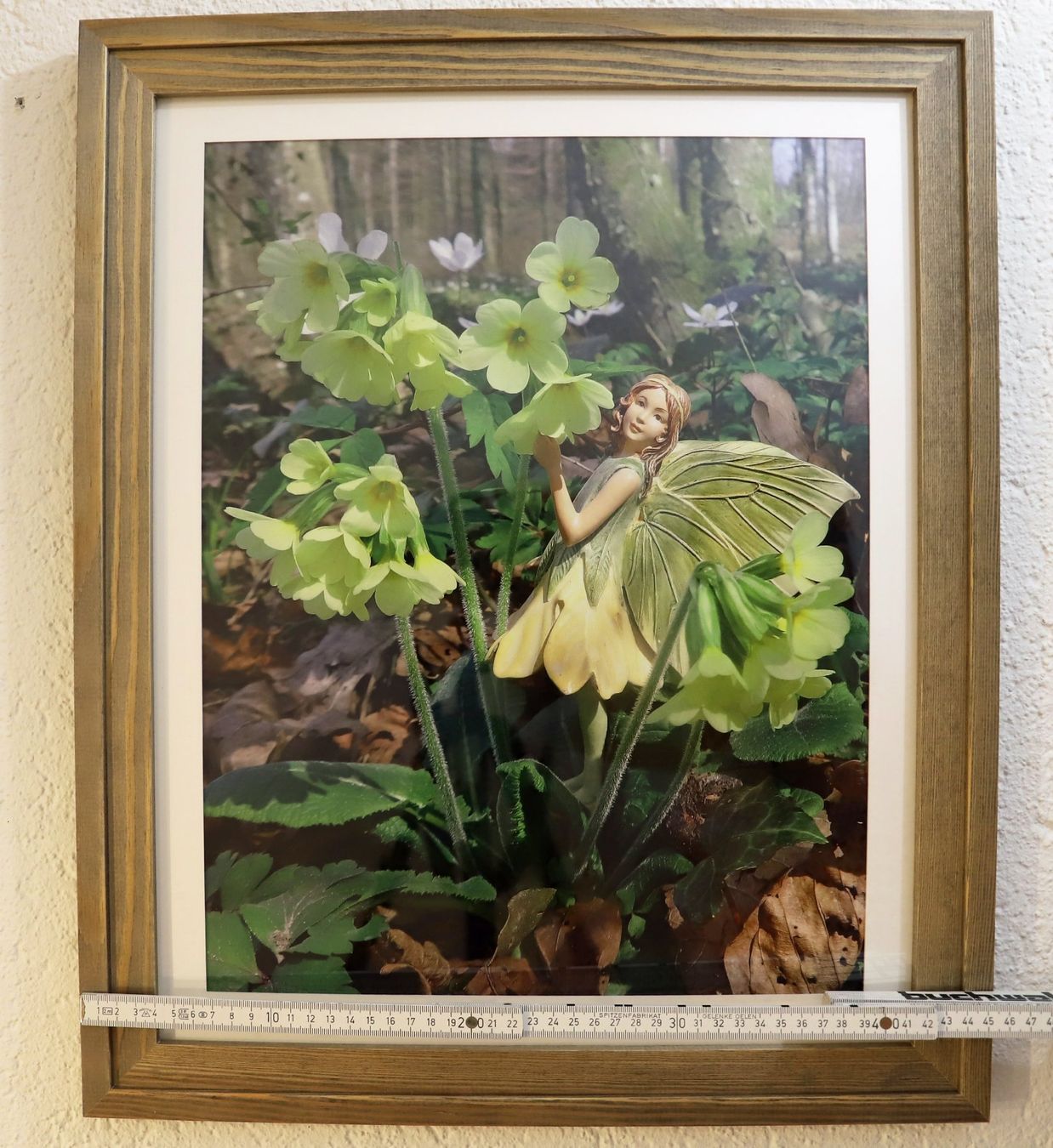 Foto & Immagini: Elfenbild Primel (Fotobild und Holzrahmen) – Nuovo (secondo la descrizione) da Volketswil venduto da greifensee11511 2