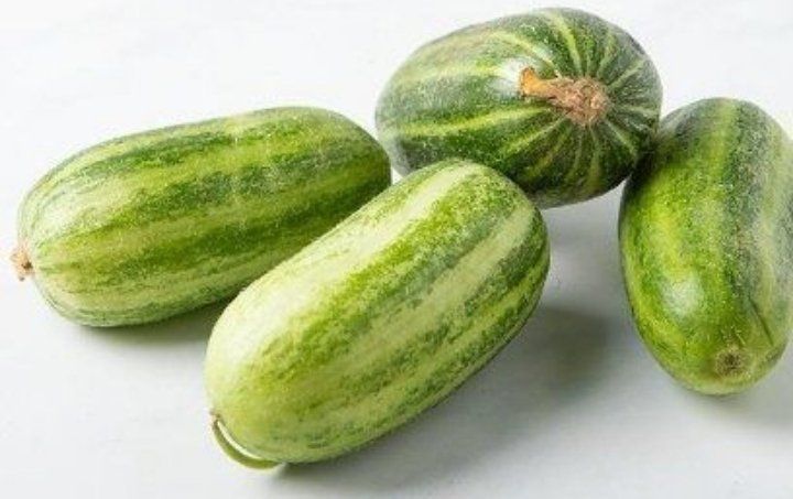 Piante & sementi: Ab 5.- fr 10 Samen CAROSELLO BARESE 5 SAMEN Concombre doux – Nuovo e nell'imballaggio originale da Rovio venduto da POSITIFFARTandPLANTS 3