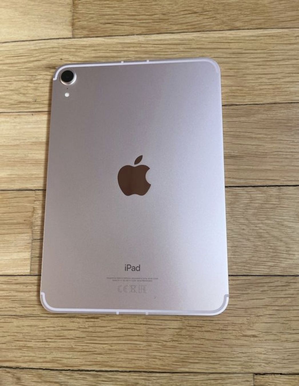 Apple Tablet PC: iPad mini 6 wifi + 5G – Usato da Locarno venduto da gilsousa 1