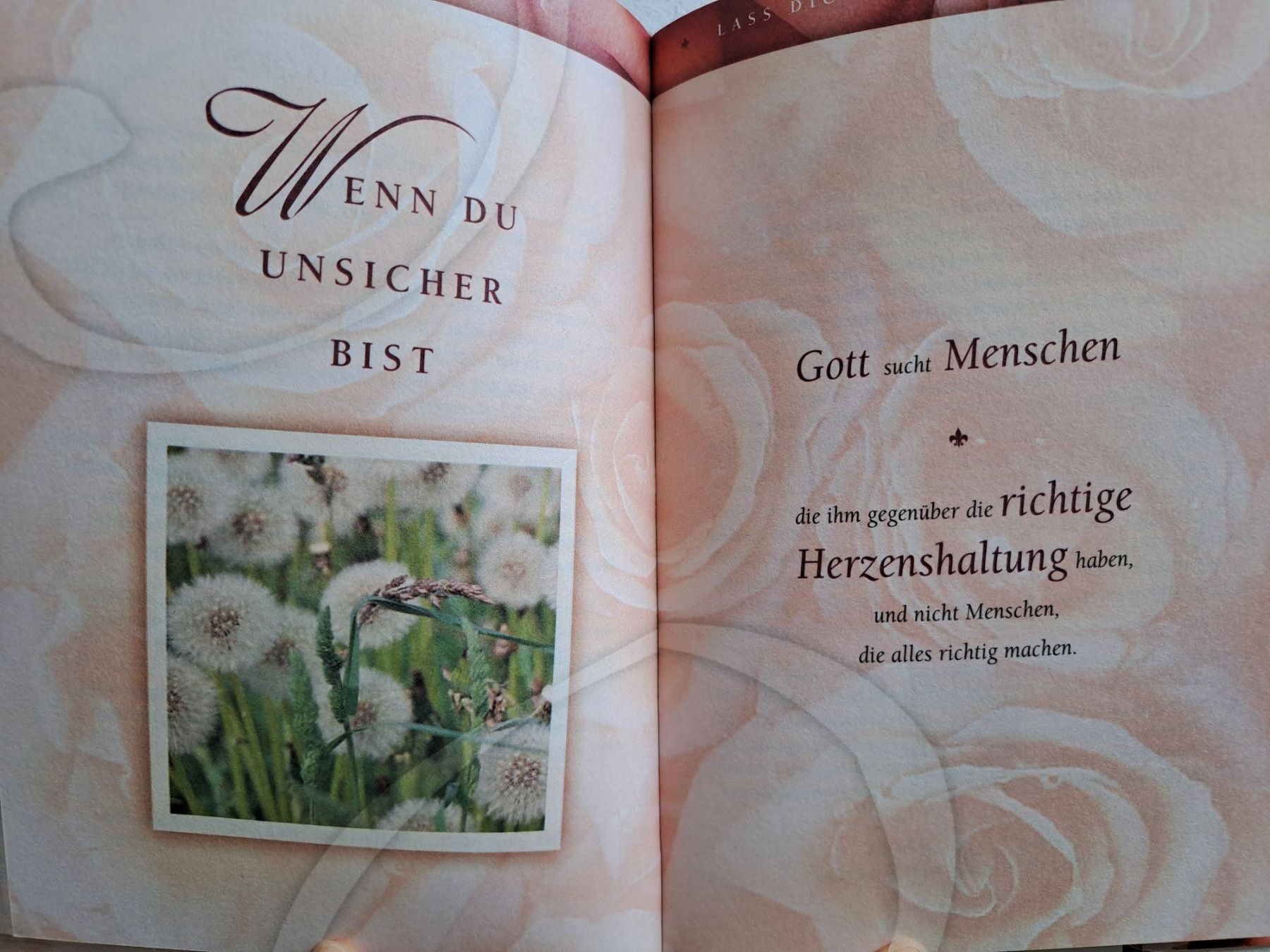 Libri: Buch 'Lass dich nicht entmutigen' Joyce Meyer – Nuovo (secondo la descrizione) da Volketswil venduto da ronbons 4