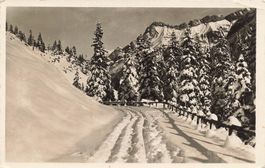 Les Diablerets (VD) Col du Pillon und Spitzhorn