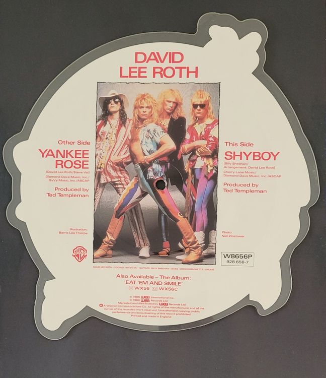 David Lee Roth Yankee Rose Picture Disc | Kaufen auf Ricardo