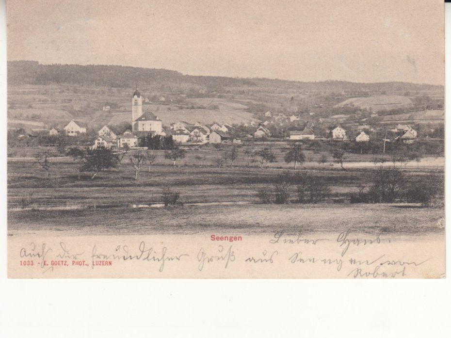 Cartoline postali: Seengen 1902 – Usato da Bürglen TG venduto da StampGraf