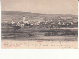Seengen 1902