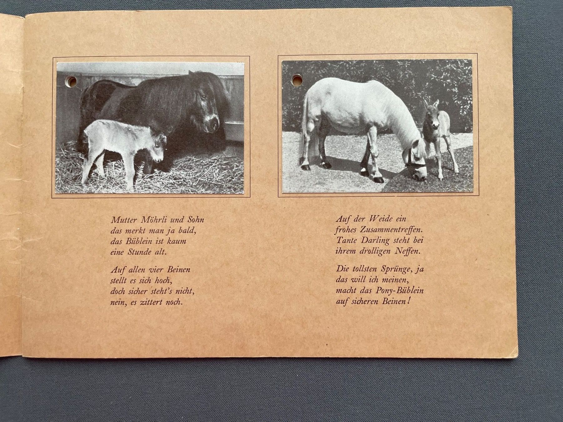 Album: Bally, Pony Album – Usato da Winterthur venduto da Myrtillus 3
