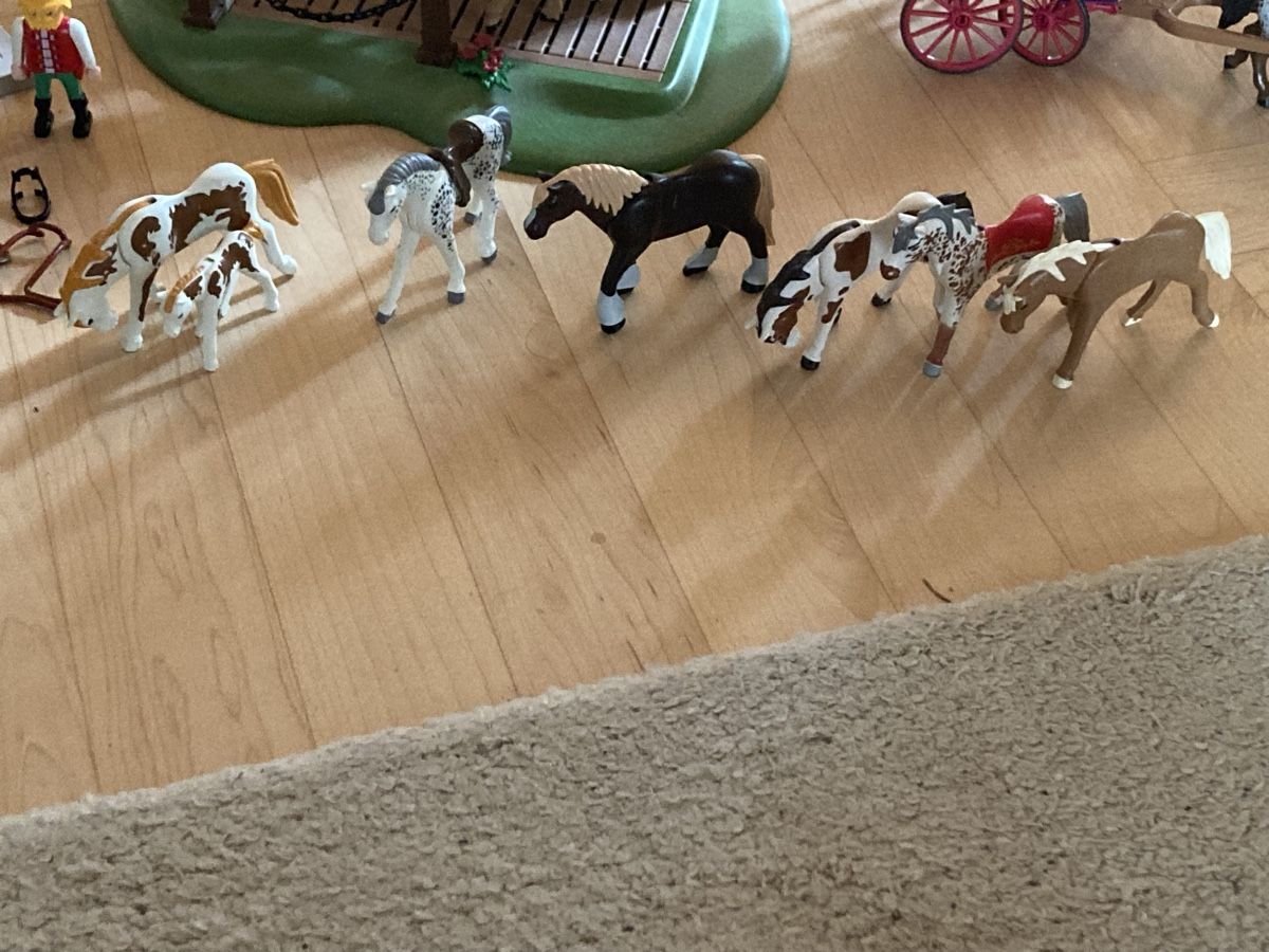 Playmobil Giocattoli: Playmobil Reiterhof  – Usato da Rüeggisberg venduto da sire75 5