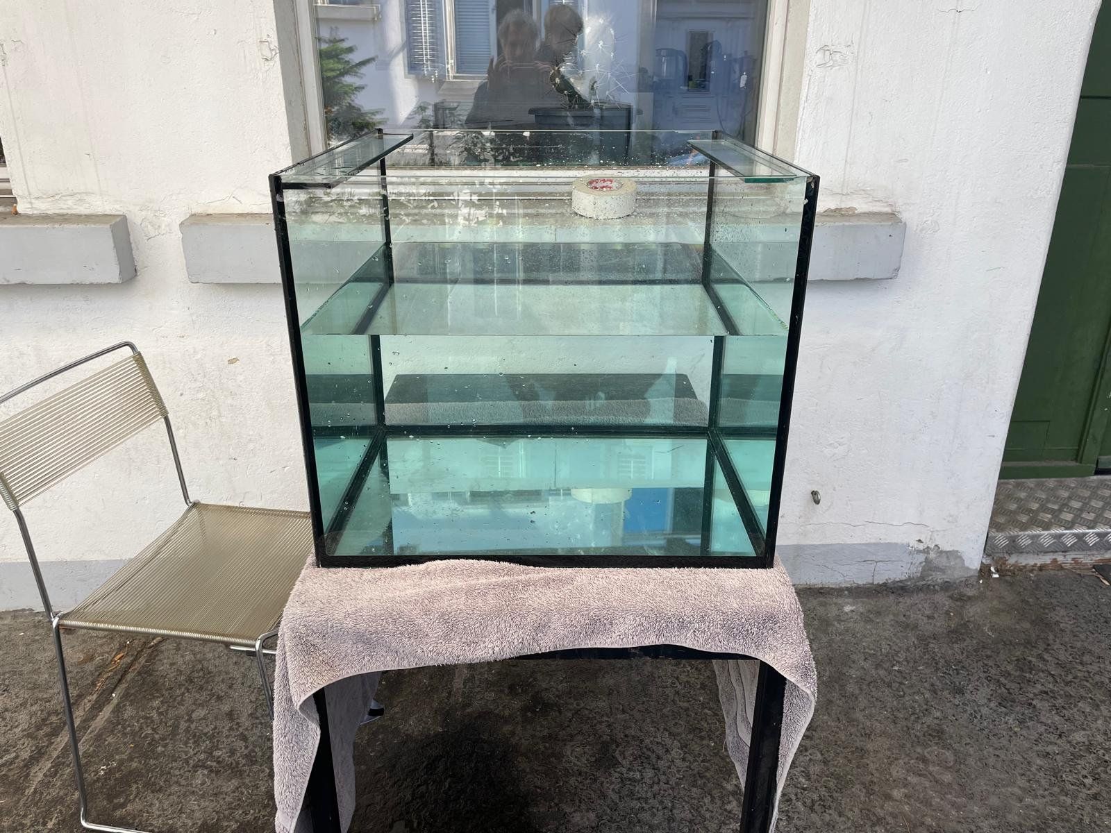 Acquari: Aquarium, spezielle Masse – Usato da Zürich venduto da sebuliza 3