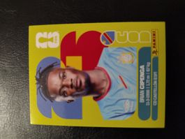 Panini FIFA World Cup 2026 COD 17