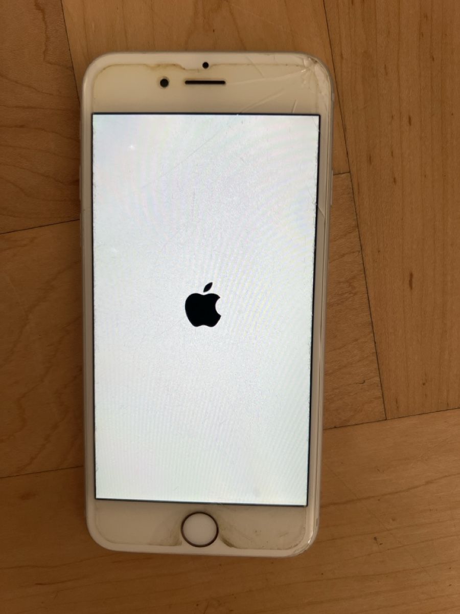 Apple Telefoni cellulari / Smartphones: iPhone 6s Silber – Usato da Zürich venduto da Alexandra2206