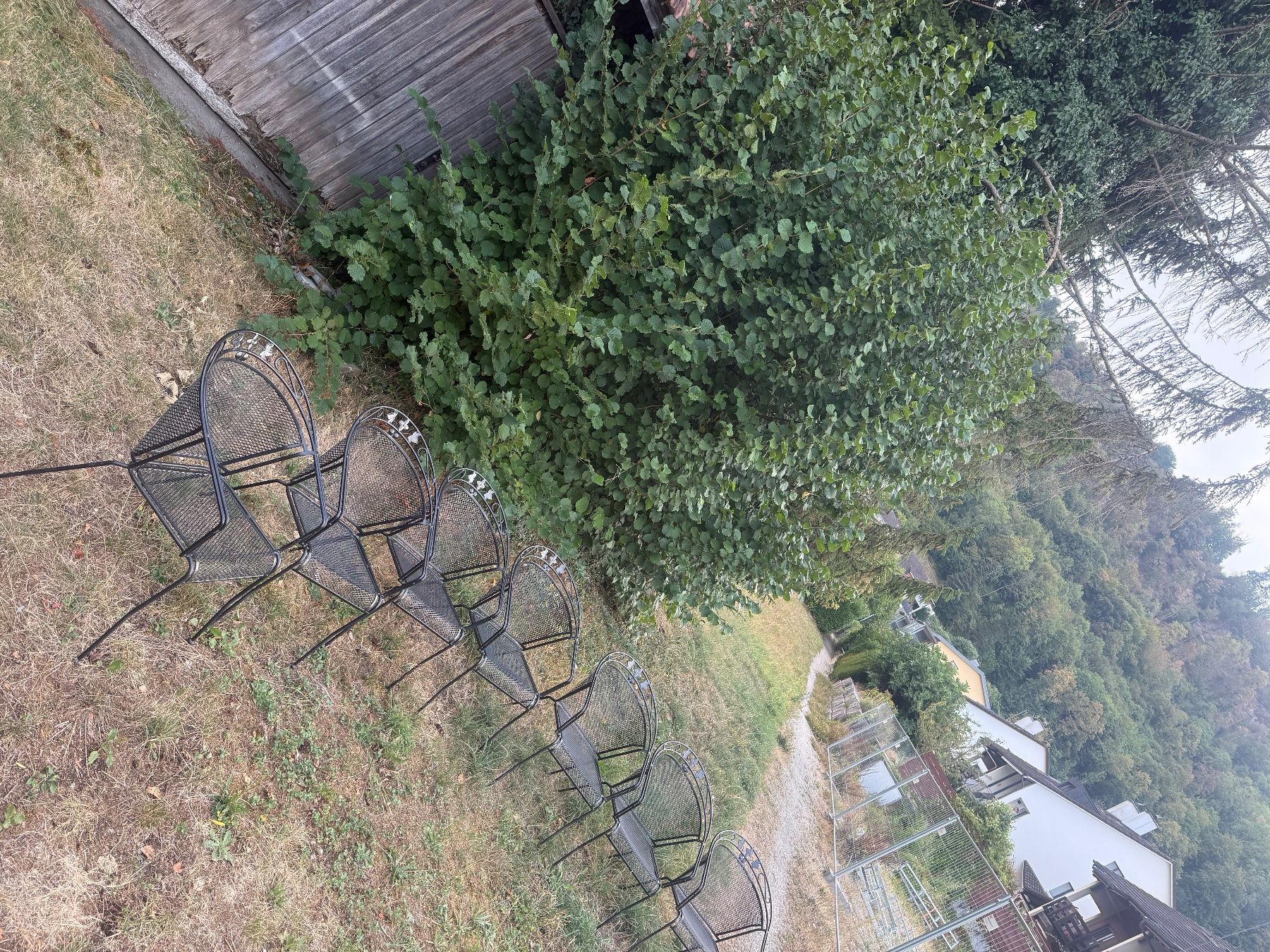 Hunn Stühle: Garten stühle – Gebraucht aus Brugg AG von Vale_1 3