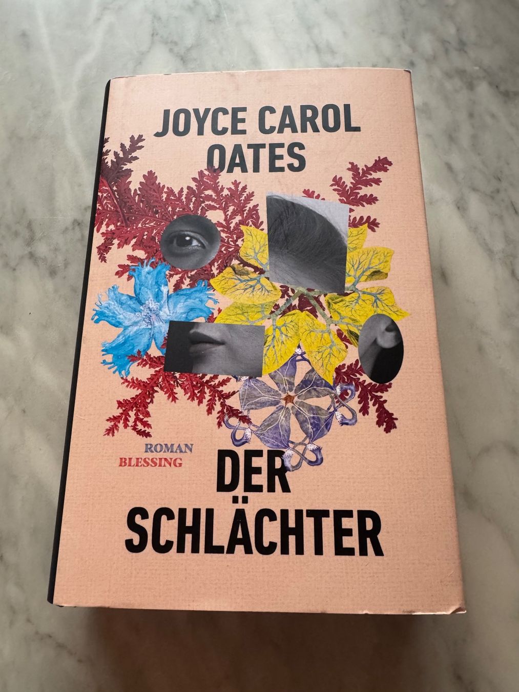 Bücher: DER SCHLÄCHTER – Neu (gemäss Beschreibung) aus hägendorf von twilightprincess