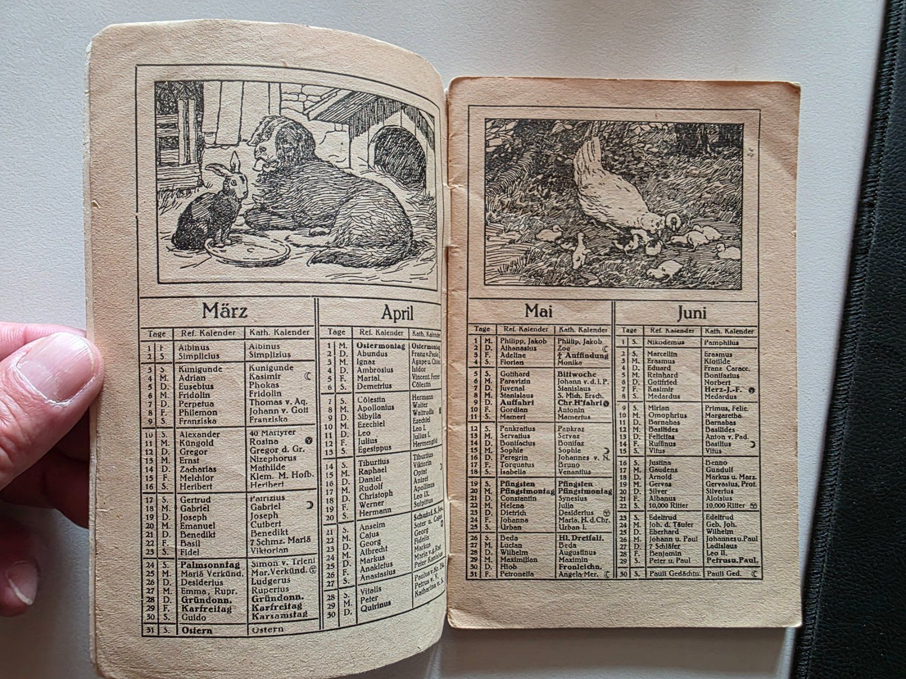 Calendari: Schweizerischer Tier Schutz Kalender 1929 – Usato da Walterswil BE venduto da Lonitti 2