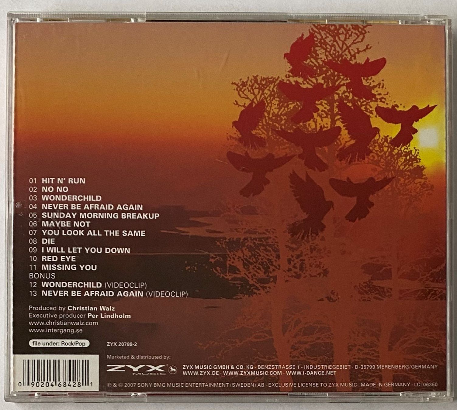 CD: Christian Walz, Paint by Numbers – Usato da Flums venduto da Asquillo 1