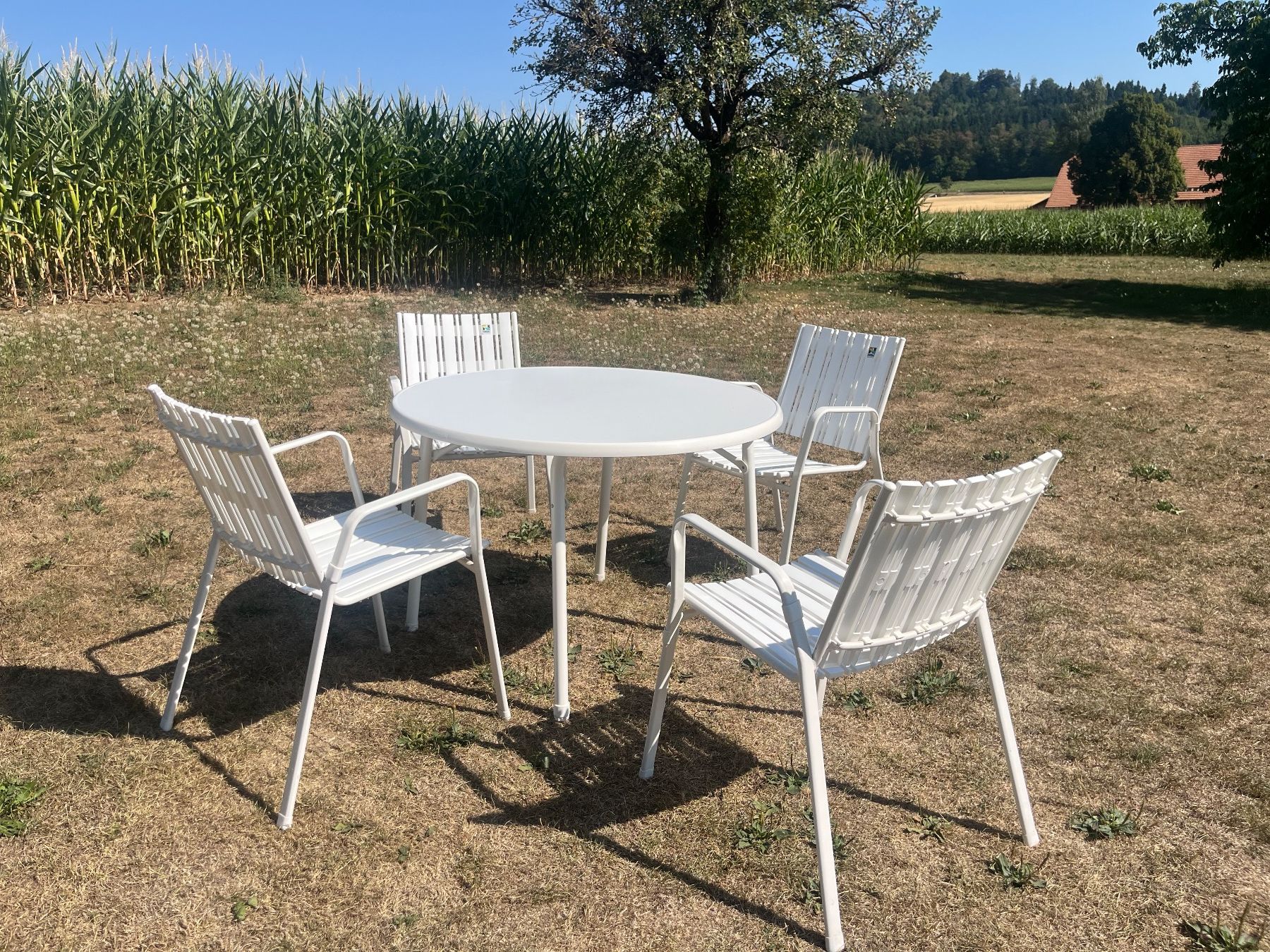 Tavoli: Gartentisch und 4 Stühle Stappelbar – Usato da Allmendingen b. BE venduto da juair 6