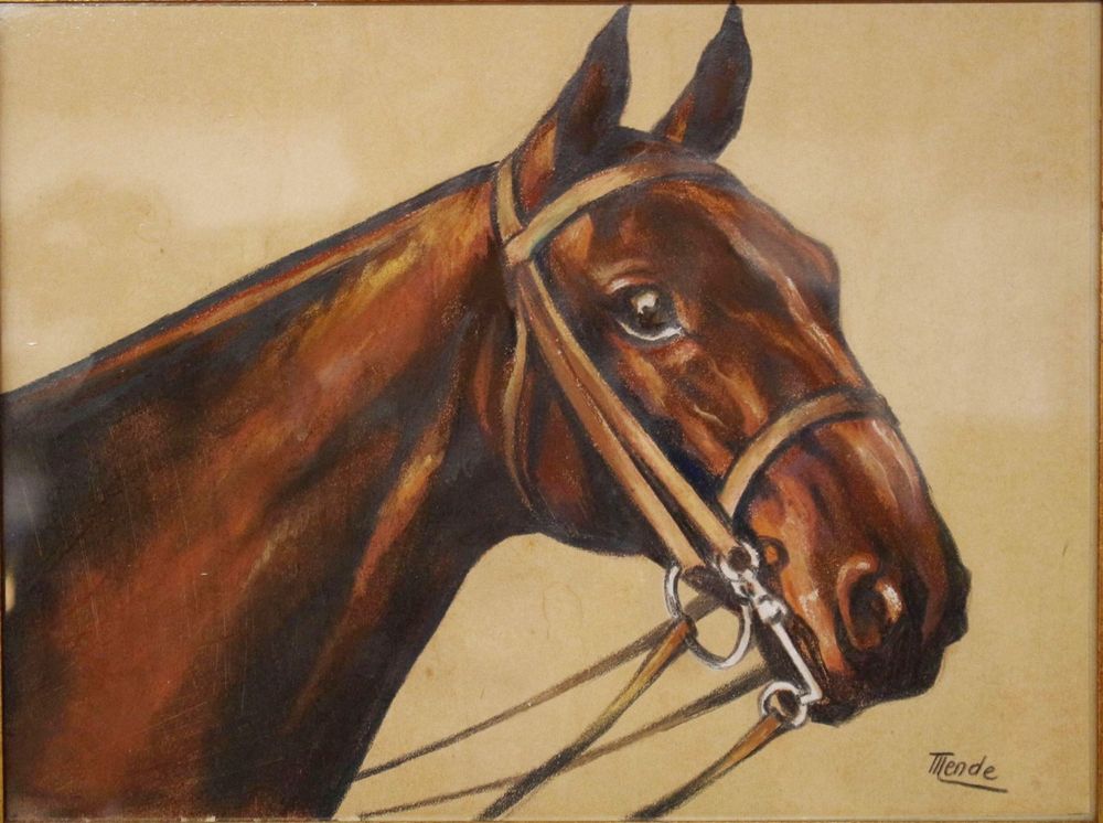 pferdeportrait-pastell-signiert-kaufen-auf-ricardo