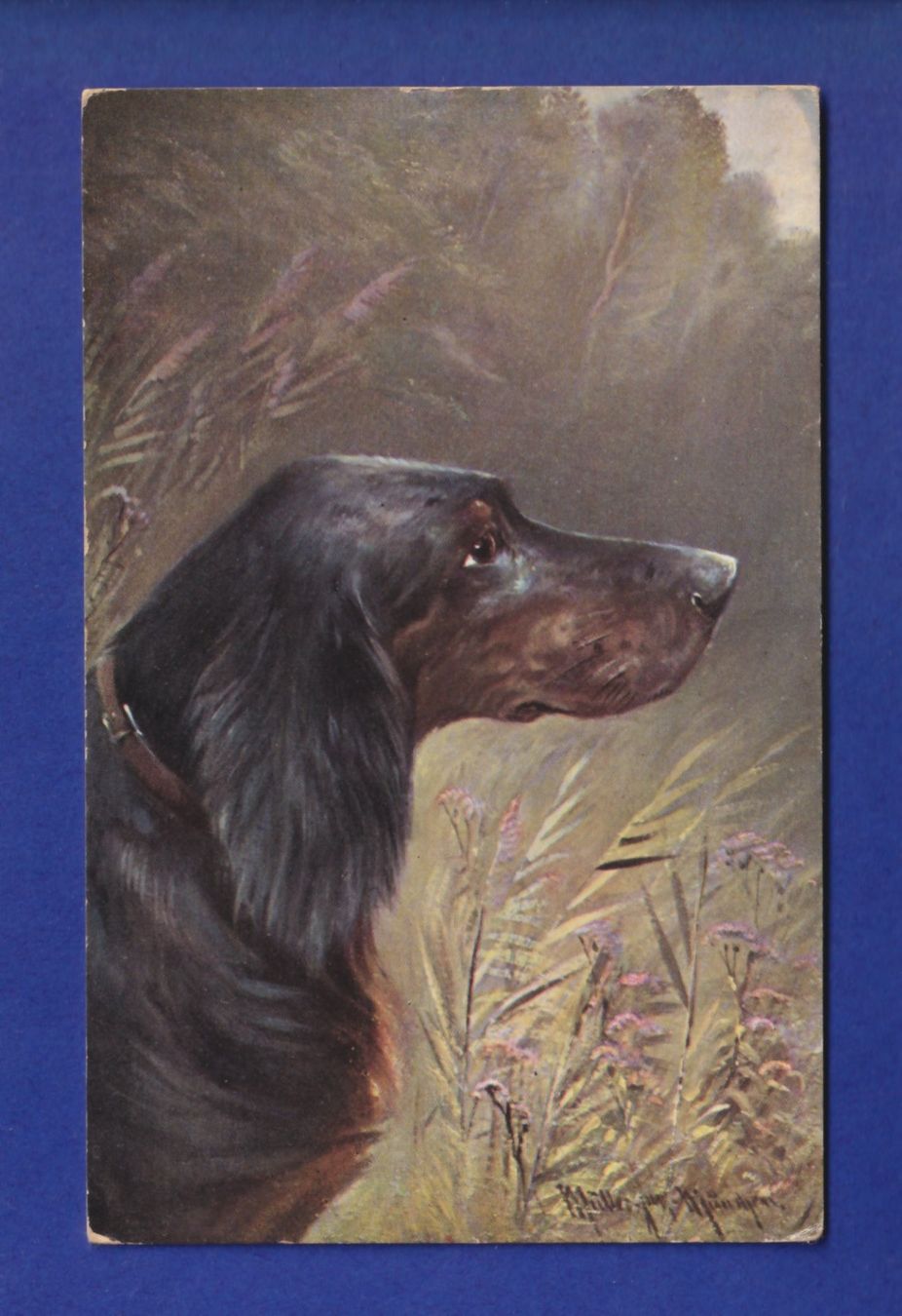 Cartes postales: CHIEN / HUND – D'occasion à Pully par nicecards-shop